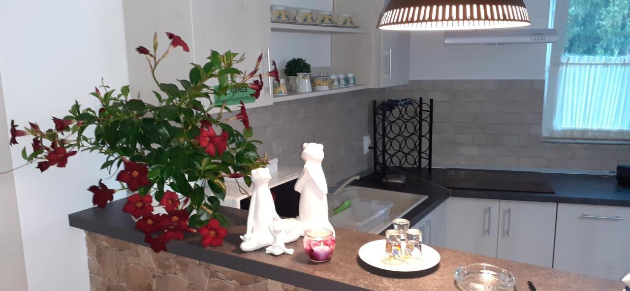 Raza Soarelui Apartament De Lux Sovata Bagian luar foto
